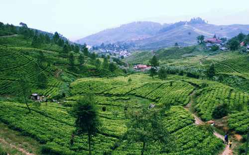 puncak